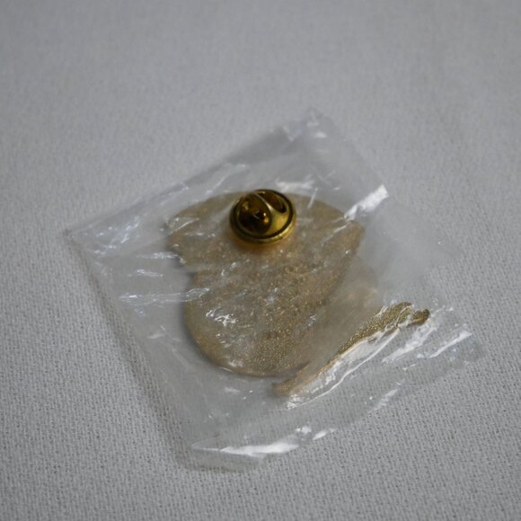 1998 Olympic Womens Super-G Gold Medalist Enamel Pin Skiing Collectible Vintage - Picture 3 of 3